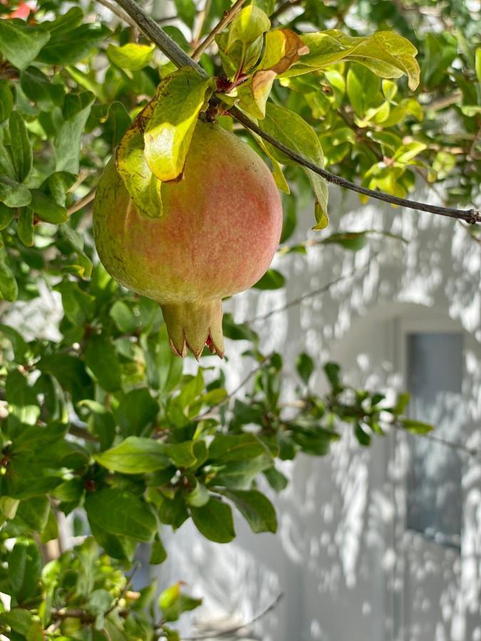 Maria Elena - Suite Home Mykonos Town المظهر الخارجي الصورة